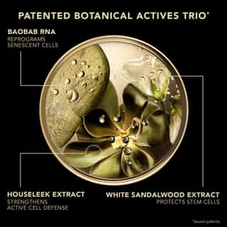 Premium Il Siero Assoluto