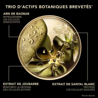 Premium Duo Ricariche La Crème Soyeuse