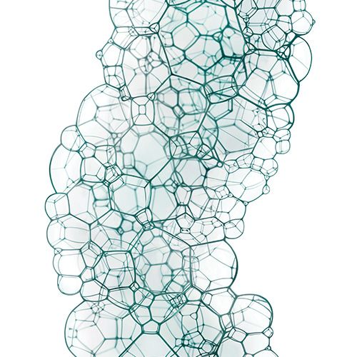 UN COMPLESSO DI PREBIOTICI RIEQUILIBRANTE