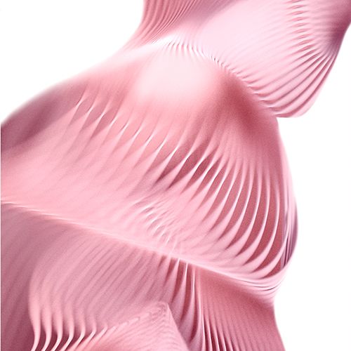 RNA DI ROSA